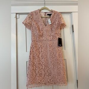 WHBM Short Sleeve V-Neck Lace Sheath Dress in Rose Smoke
